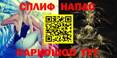 мет Моздок