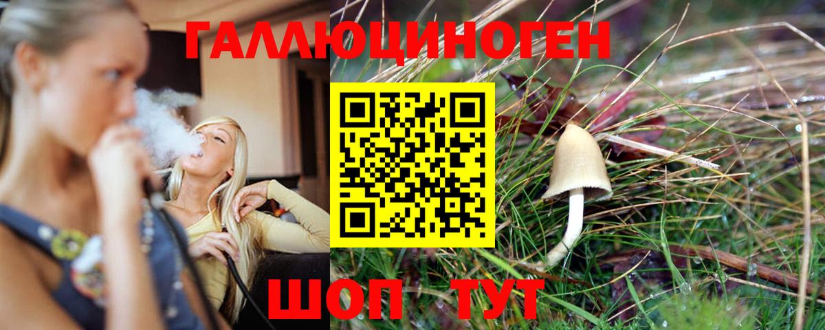 Псилоцибиновые грибы Psilocybe  Вход с VPN  Черногорск 