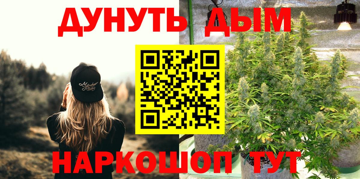 Канабис план Черногорск